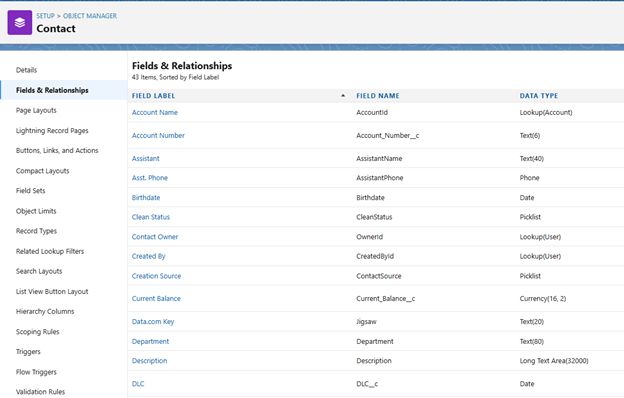 Salesforce custom fields